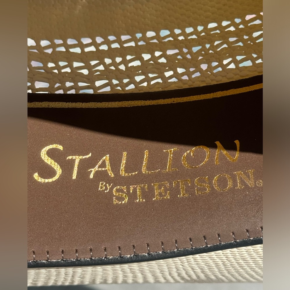 Stetson Stallion Cowboy Cowgirl Western Hat Cream Small Sun Straw Concert Billy - Picture 2 of 10